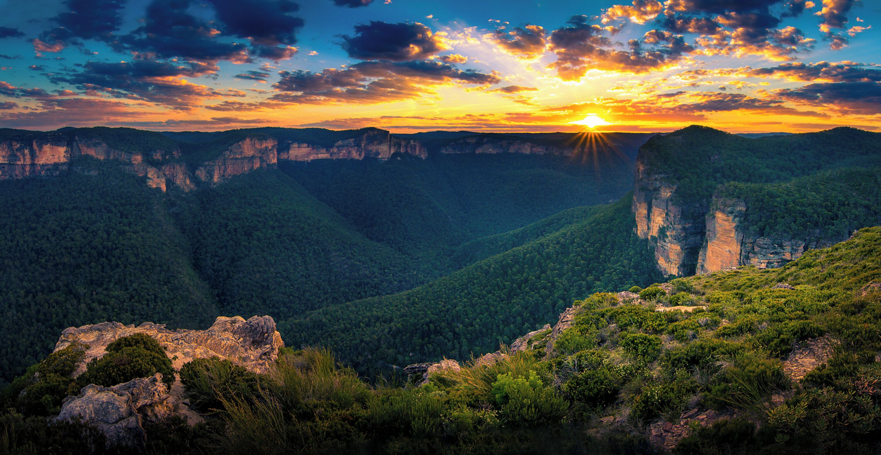 A canyon with a sunset, rocky cliffs, and dense forest.