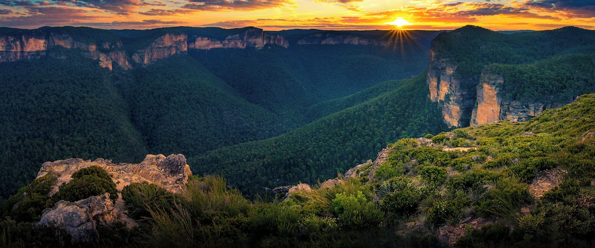A canyon with a sunset, rocky cliffs, and dense forest.