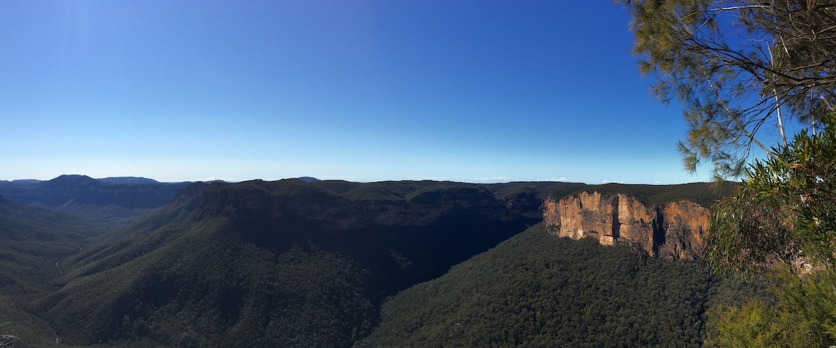 A canyon with steep cliffs and dense forest.