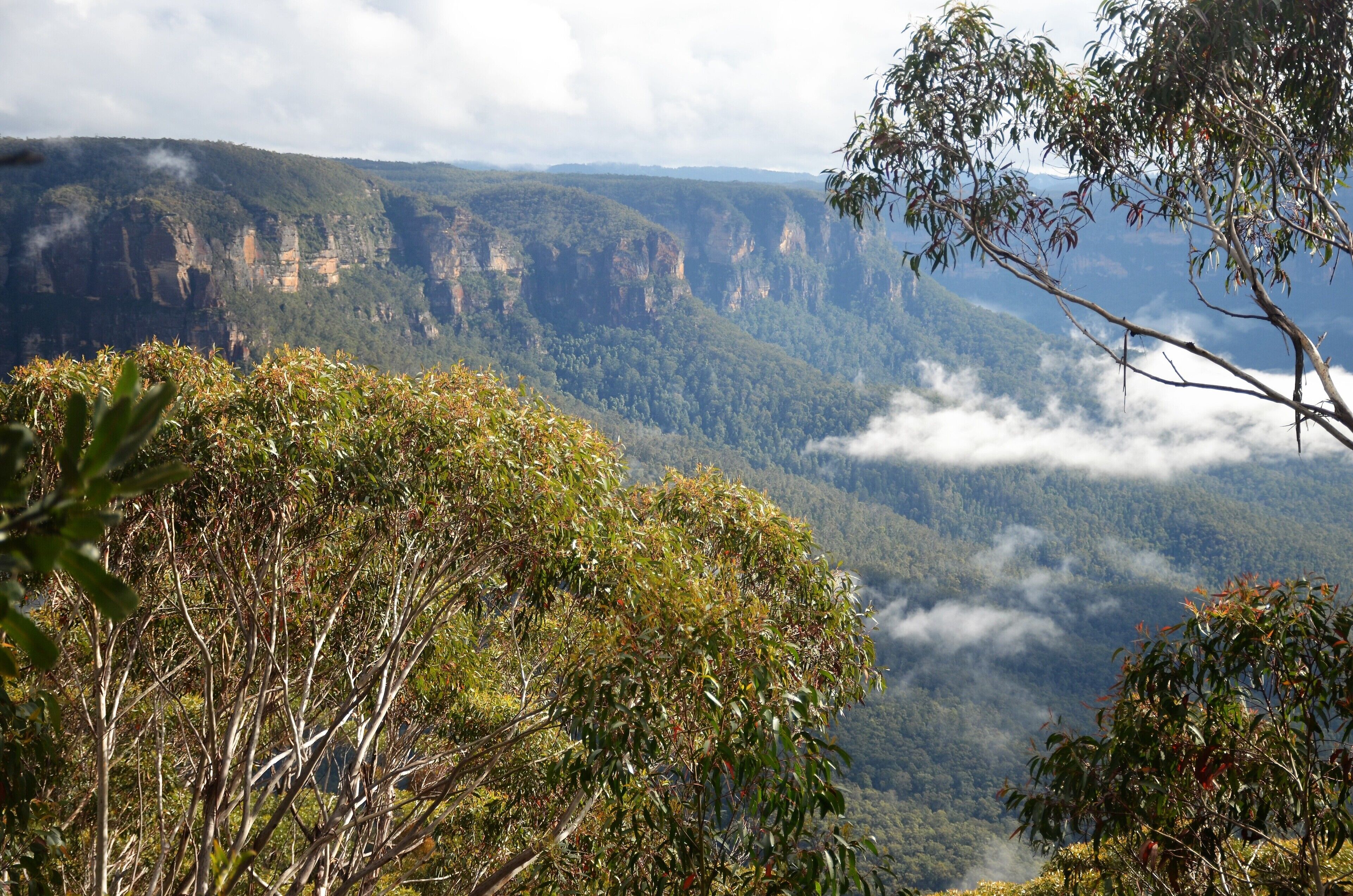 This is you atypical tourist view of the Blue Mountains, taken during an early morning stroll along the Cliff Top Walk at the back of Blackheath.