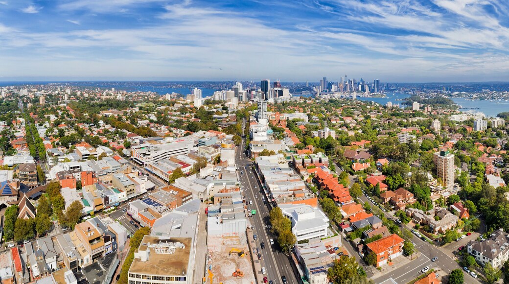 D Crows Nest 2 CBD Pan