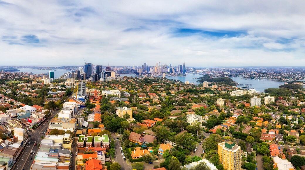 D Sy Crws nest wide pan