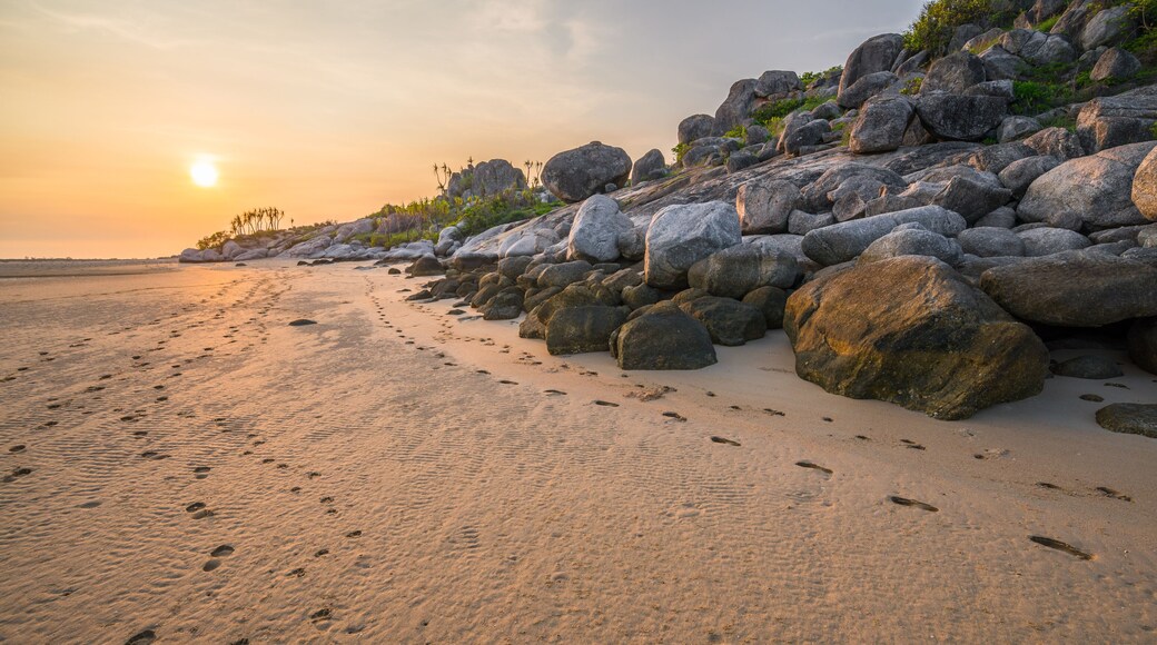 Région de Northern Peninsula Area