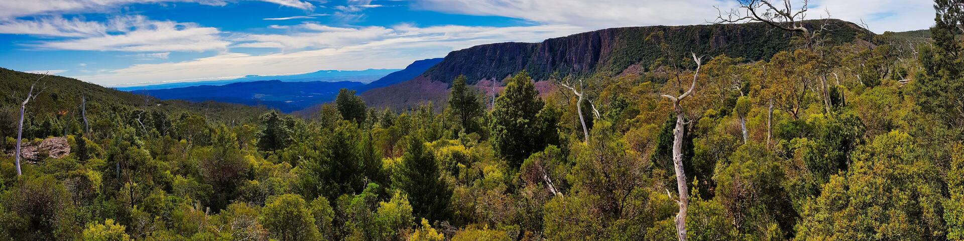 A mountainous landscape with dense green forests and a clear blue sky.