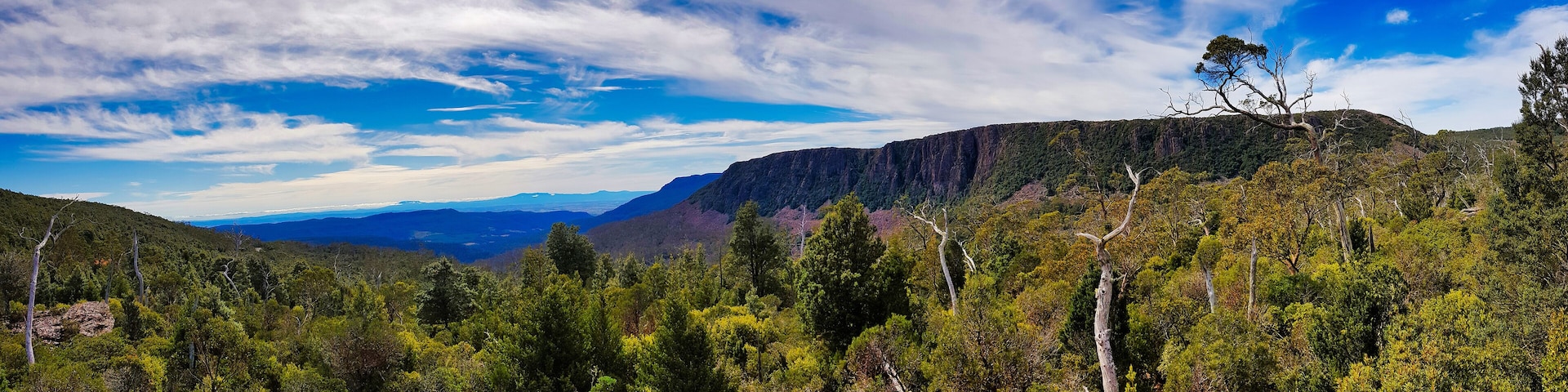 Panorama with dense forest and a table mountain at the northern slopes of the Central Highlands, Tasmania, Australia. In the distance Liffey Forest Reserve