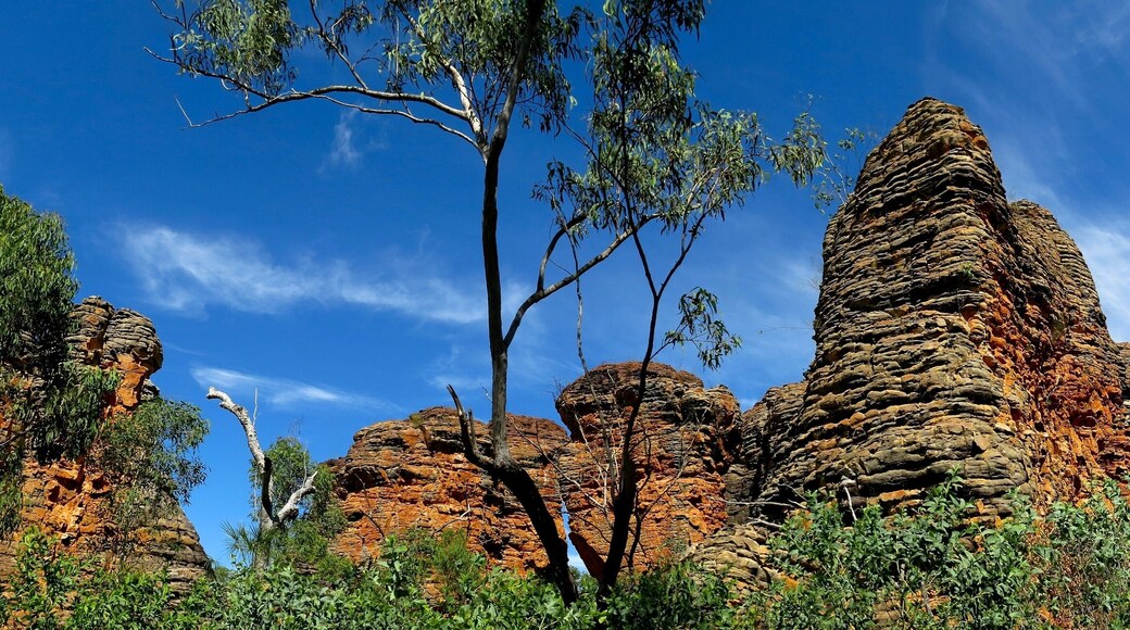 Région de Roper Gulf