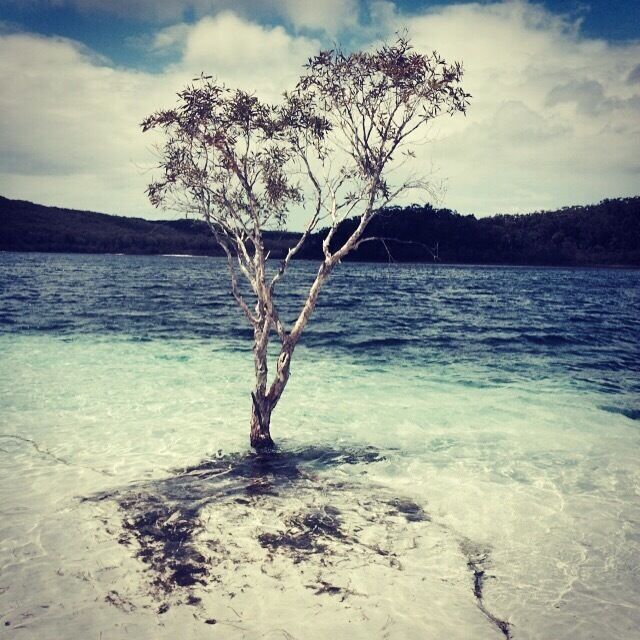 Lake McKenzie