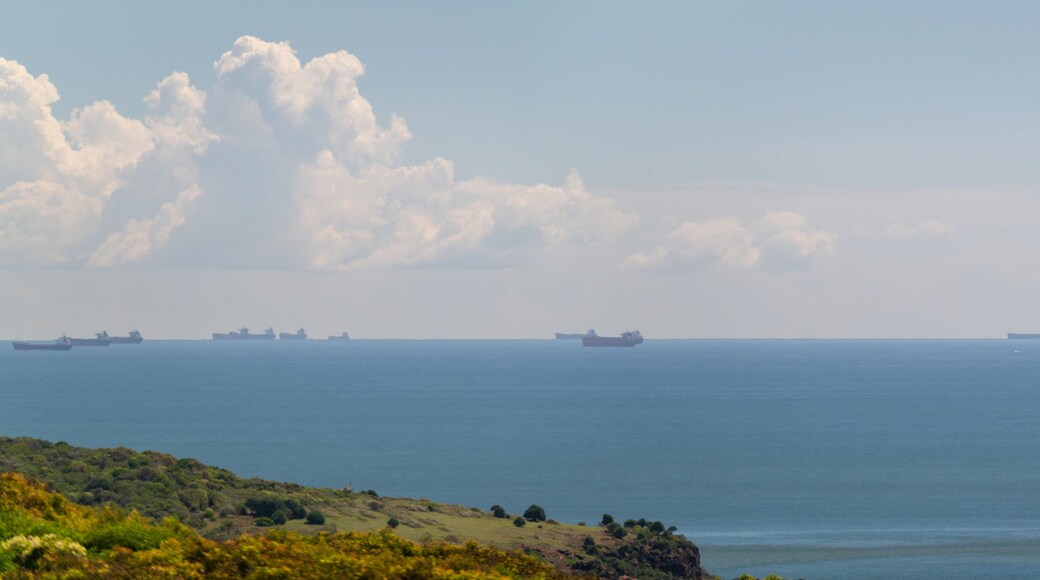 Freight and cargo ships, shipping lane, entering Gladstone harbour, Queensland Australia, panorama