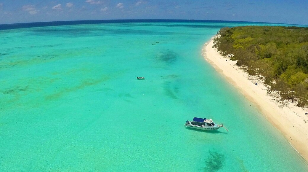 The lagoon surrounding North West Island here in the @gladstoneregion is one of the most spectacular places I've ever seen! It looks like something you'd expect to see in the Caribbean or some other faraway exotic destination but it's not, it's right here in our own backyard! ☀️🐠🐟🌴😀
#gladstoneregion #fly3DR #GoProANZ #thisisqueensland #seeaustralia