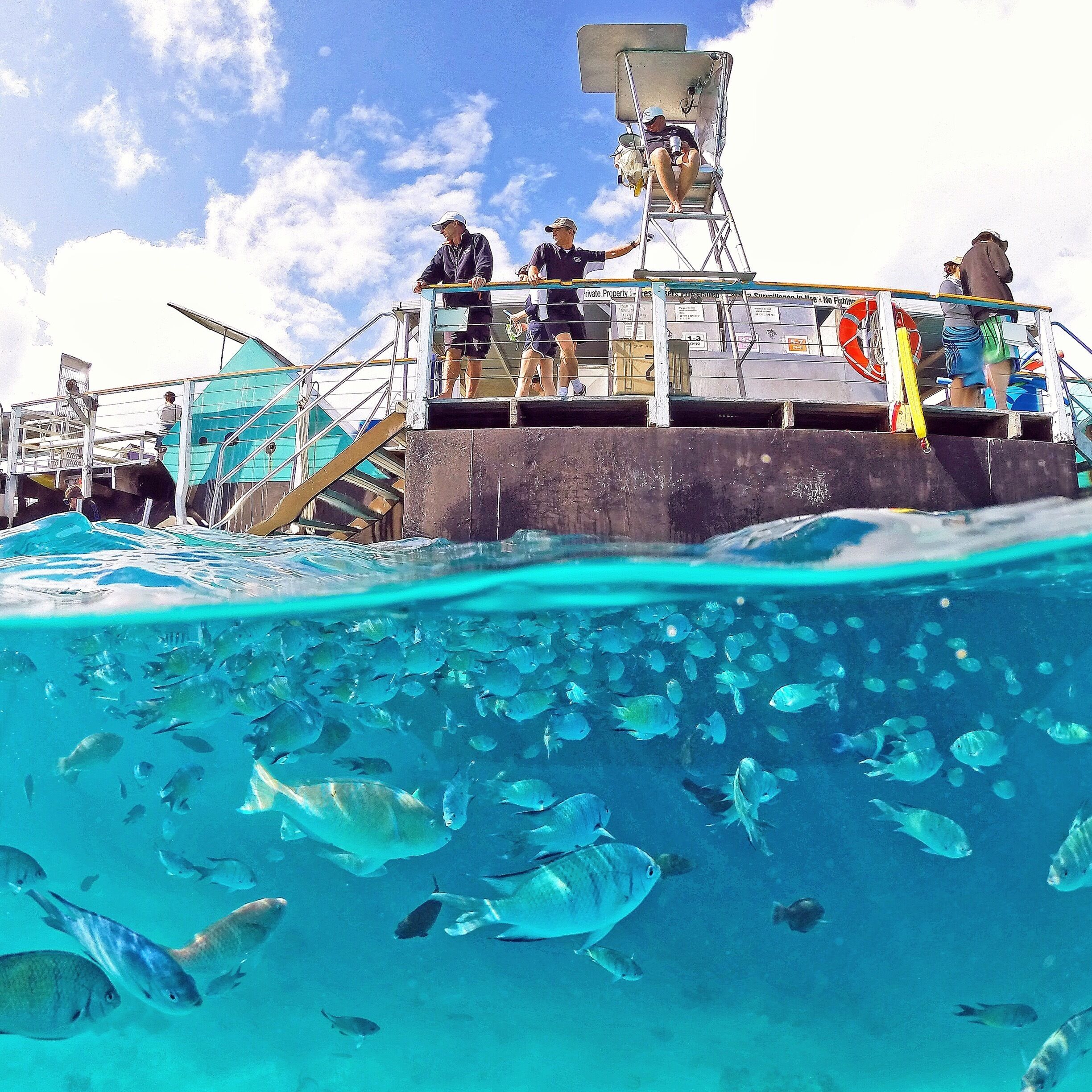Um barco com pessoas no convés e um cardume de peixes nadando abaixo.