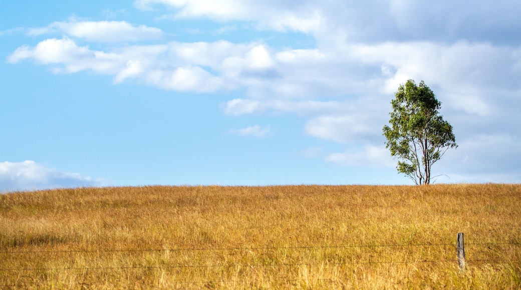 Distrito regional de North Burnett