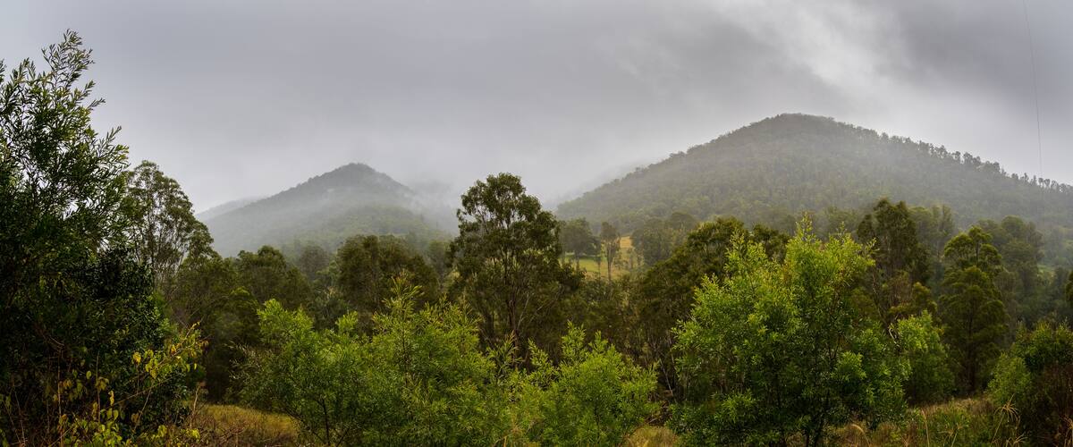 Panorama of Rural Scene on a Damp Day