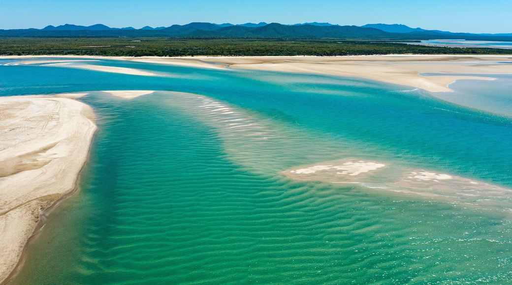 Livingstone Shire which includes landscape views and general coastal views