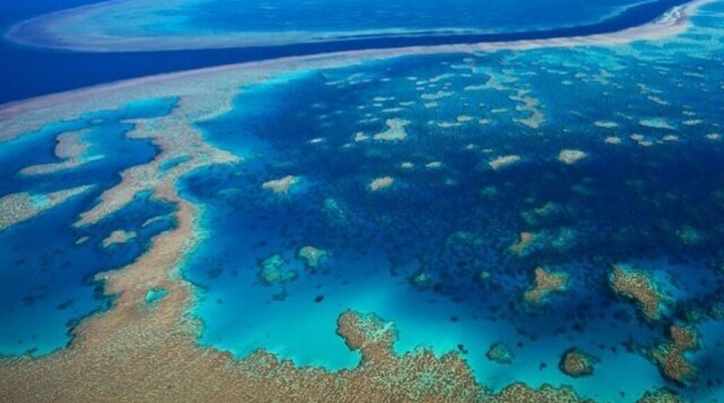 The Great Barrier Reef is one of the worlds ocean wonders. Taking a seaplane or helicopter and flying above this incredible landscape gives you a unique perspective that highlights the depth, detail and colours of the reef formation.
#australia #troveon #travel #photography
