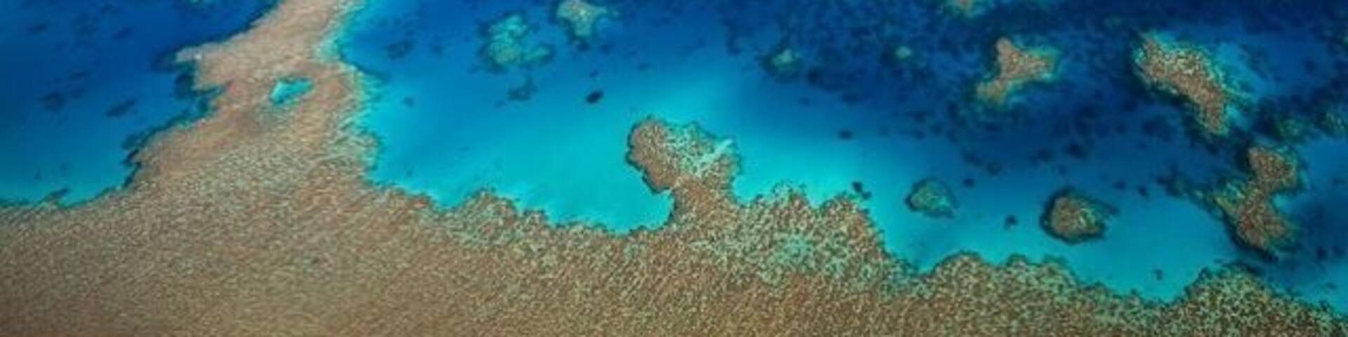 The Great Barrier Reef is one of the worlds ocean wonders. Taking a seaplane or helicopter and flying above this incredible landscape gives you a unique perspective that highlights the depth, detail and colours of the reef formation.
#australia #troveon #travel #photography