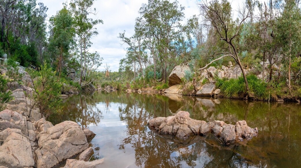 Panoramic Australian landscape bush view.
Taken in Queensland, Australia