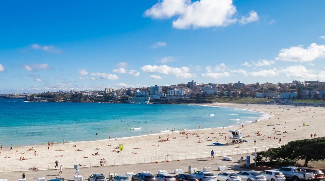 Concejo de la ciudad de Randwick