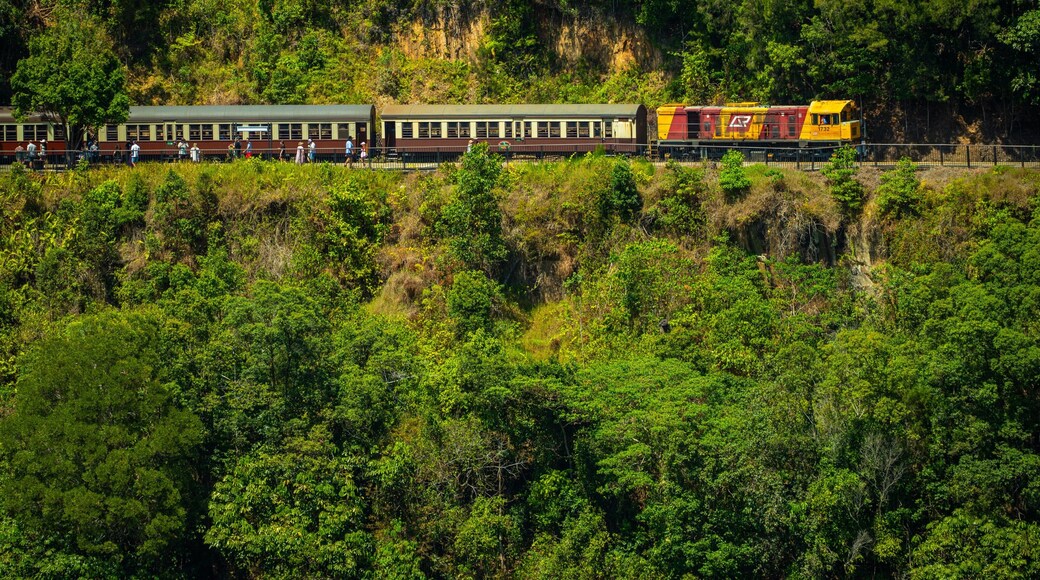 Mareeba Shire featuring railway items and tranquil scenes