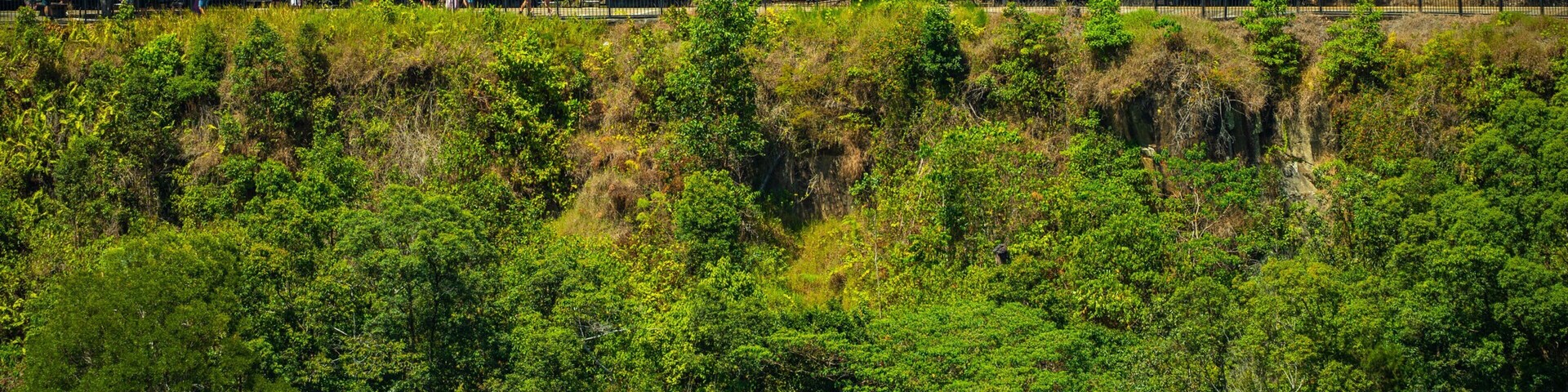 Mareeba Shire featuring railway items and tranquil scenes