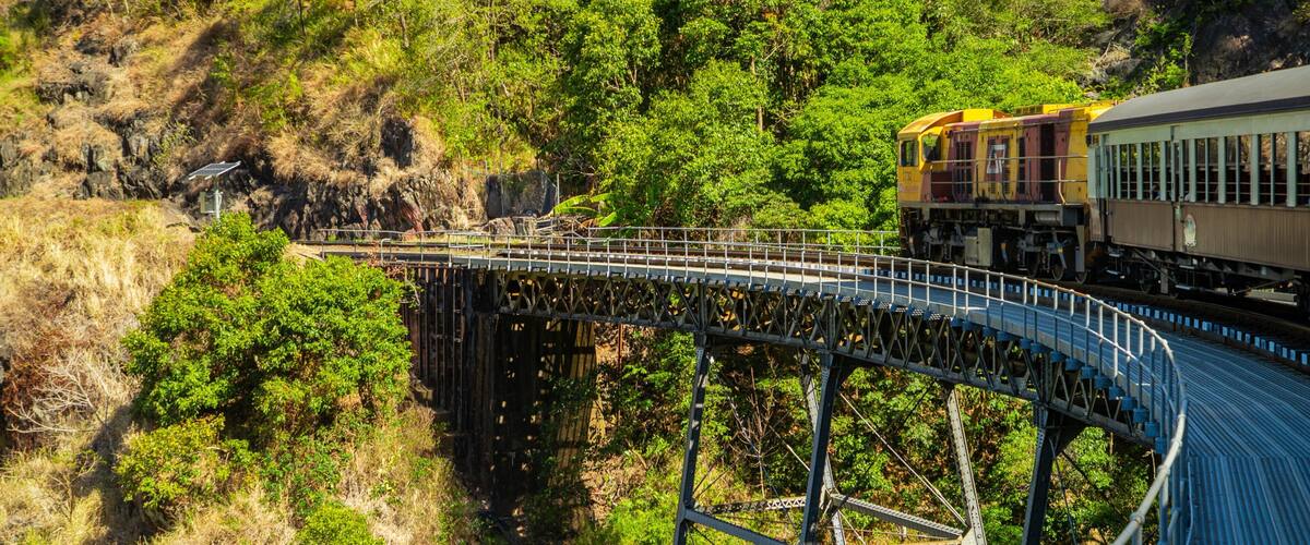 A train on a bridge over a canyon with lush greenery.