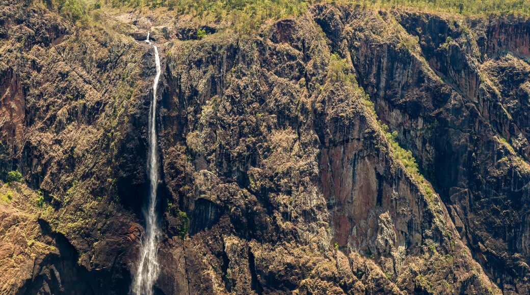 The tallest single drop waterfall in Australia, Wallaman Falls in the wet tropics of Queensland is a cascade and horsetail waterfall with a deep plunge pool at the bottom