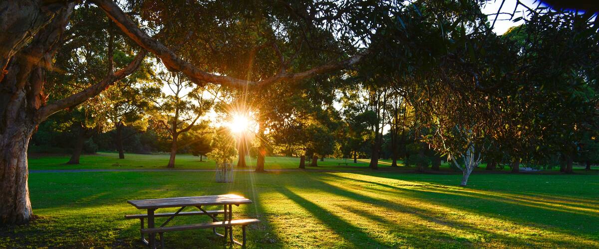 Beautiful park in Sydney.