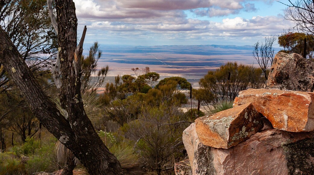 White Clouds over the Flinders Ranges