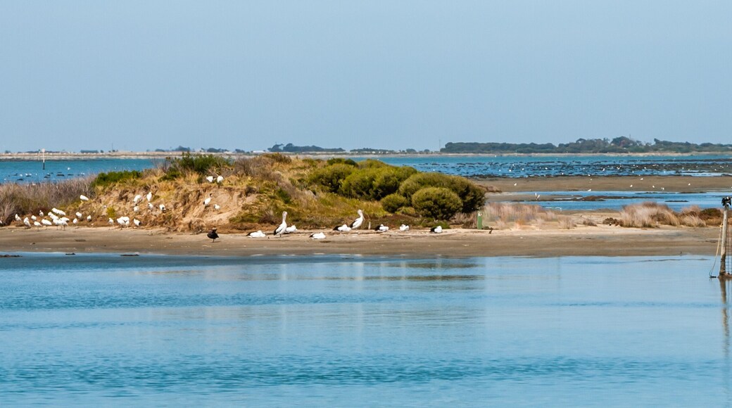 Goolwa Lake and Coorong National Park