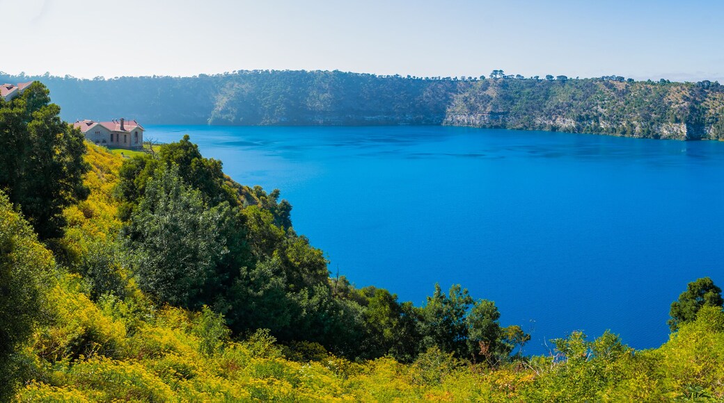 Conseil de Wattle Range