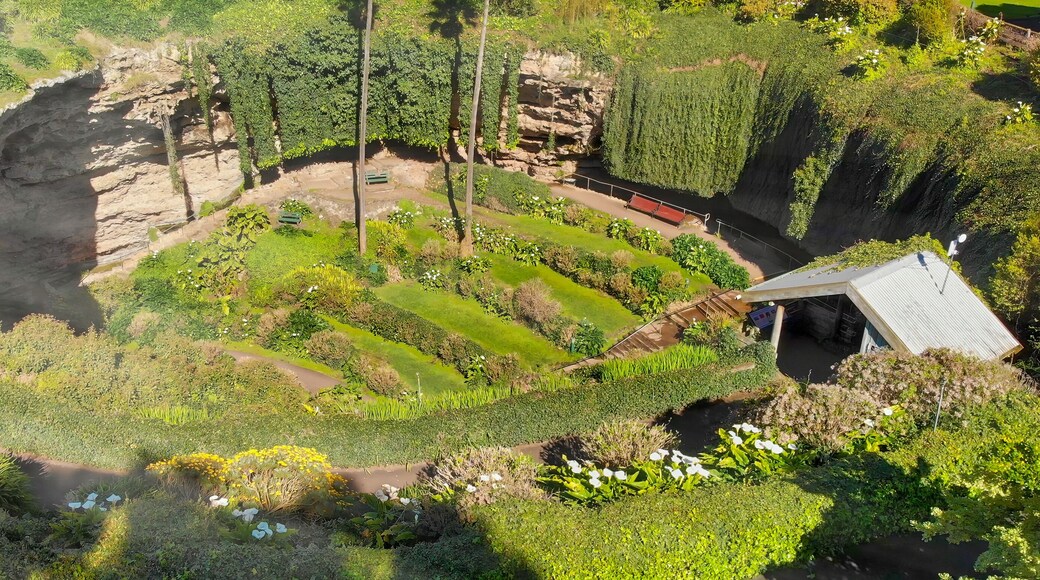 Distrito de Naracoorte Lucindale