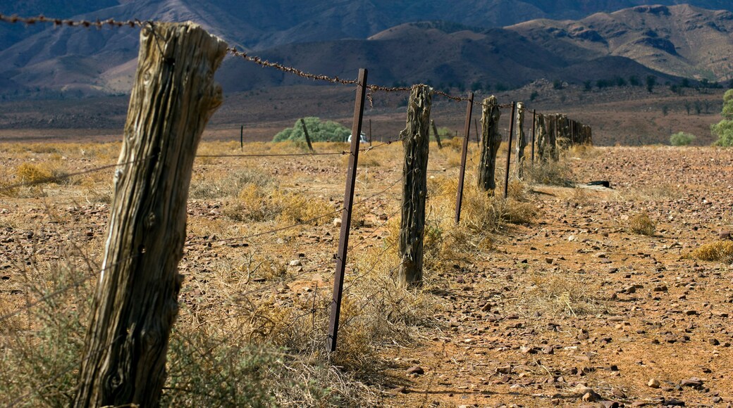 Fence line along Moralana Scenic Drive, Flinders' Ranges, SA, Australia