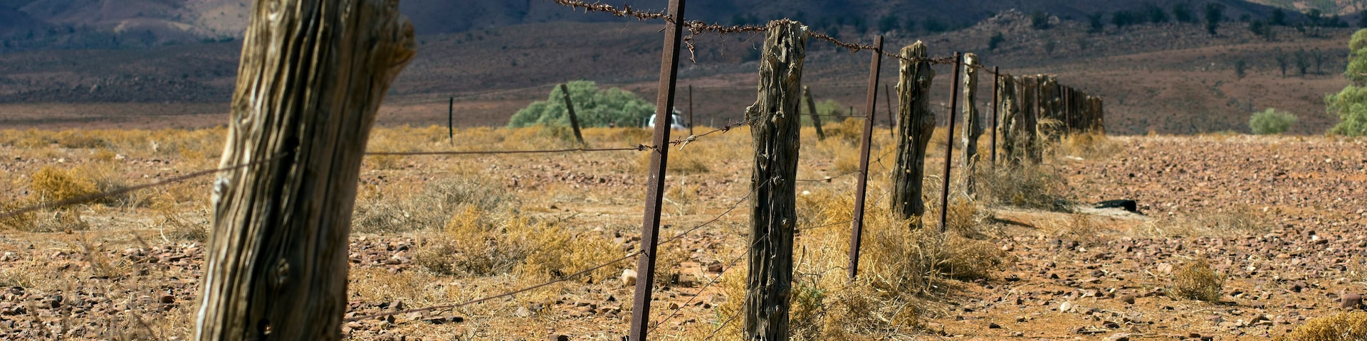 Fence line along Moralana Scenic Drive, Flinders' Ranges, SA, Australia