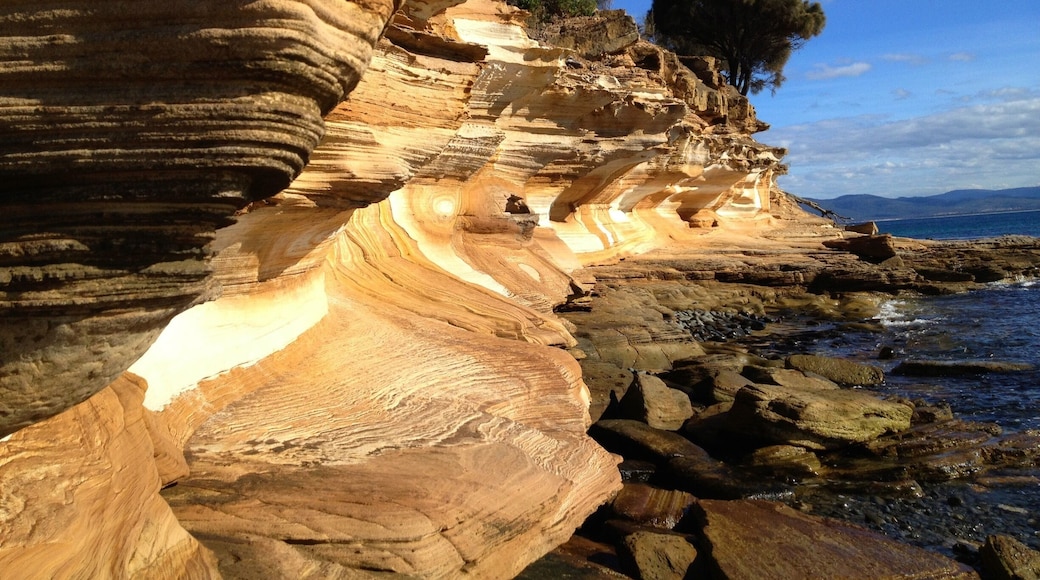 The painted cliffs on Maria Island are beautifully coloured and patterned sandstone. They are best viewed at low tide for access all the way around the rocks. #hiking #nationalpark #weekendgetaway #nature