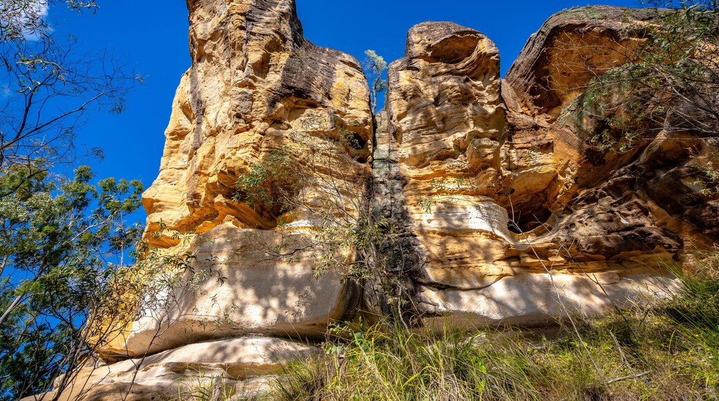 White Rock Conservation Area in Queensland, Australia