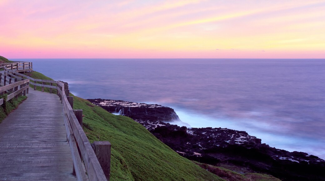 Distrito de King Island