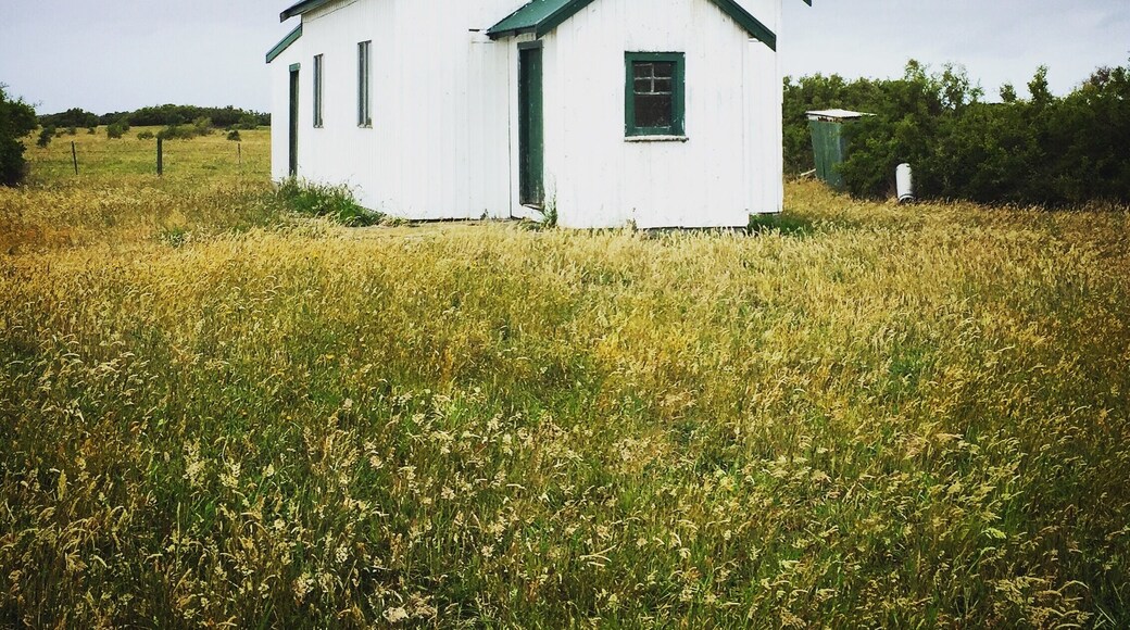 ...cute little church I stumbled upon whilst driving on King Island.
