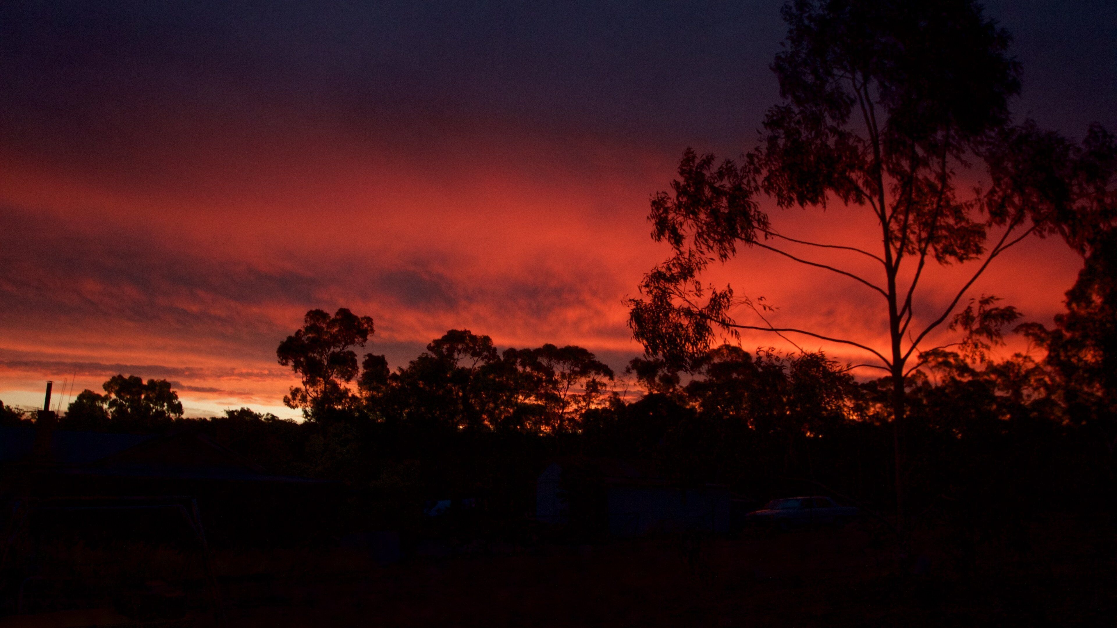 วิคตอเรีย แสดง พระอาทิตย์ต ก และ ป่า