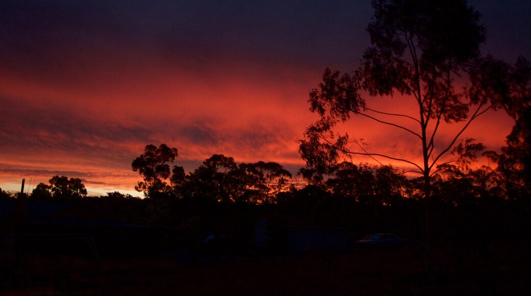 ๋น
ํ ๋ฆฌ์ ์ด ํฌํจ ์ฒ ํ๊ฒฝ ๊ณผ ์ผ๋ชฐ