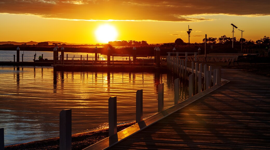 ウィンダム シティ