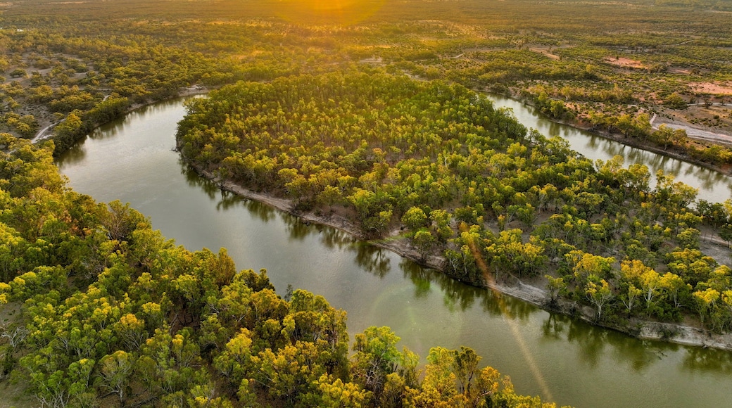 Une rivière serpentant à travers une forêt dense, avec un coucher de soleil en arrière-plan.
