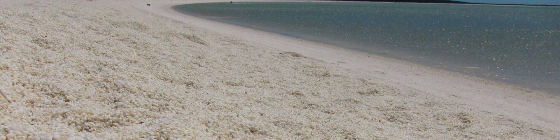 A beach with white pebbles and a clear blue sky.