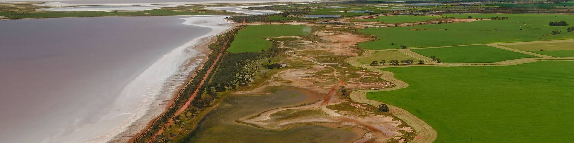 Aerial Drone Images Three springs Wheatbelt crops Western Australia