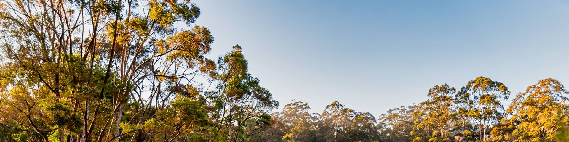Beautiful lakes everywhere set amongst lush woodland and plants at Pemberton
