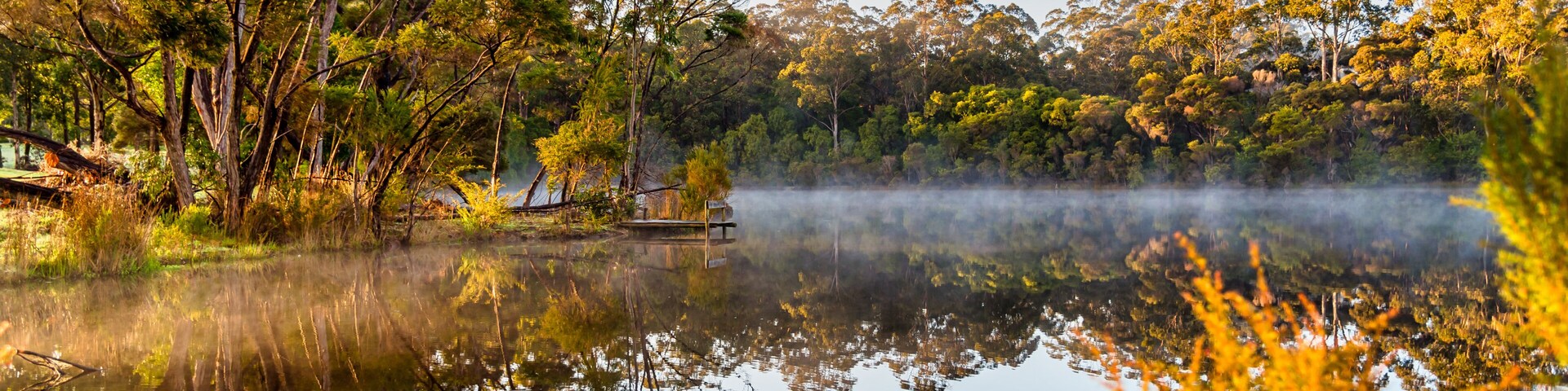 Un lac paisible où se reflètent les arbres, avec une jetée en bois.