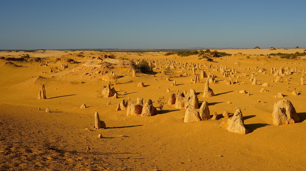 Pinnacles Desert in Nambung National Park, Western Australia, landscape scenery from the desert area with the rocky standing stones in Shire of Dandaragan. Large panoramatic picture