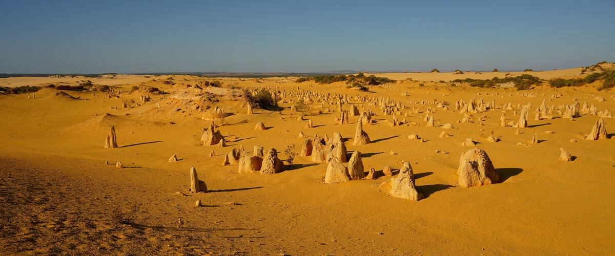 Pinnacles Desert in Nambung National Park, Western Australia, landscape scenery from the desert area with the rocky standing stones in Shire of Dandaragan. Large panoramatic picture