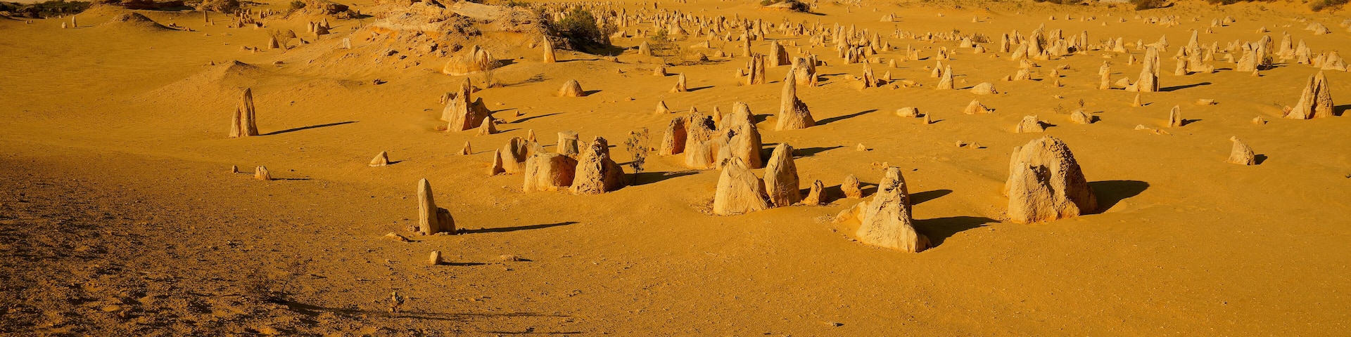 Pinnacles Desert in Nambung National Park, Western Australia, landscape scenery from the desert area with the rocky standing stones in Shire of Dandaragan. Large panoramatic picture