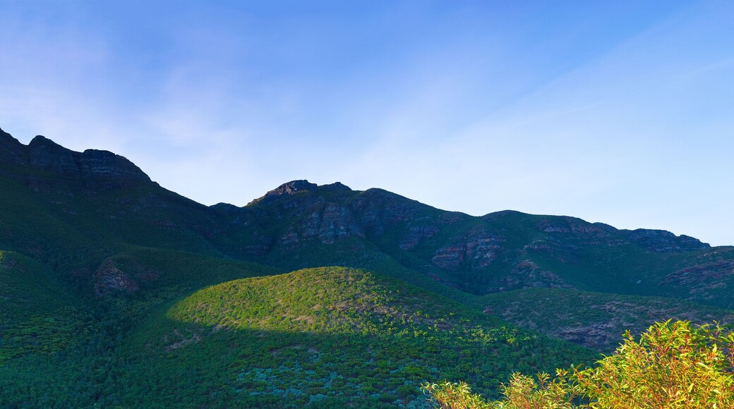 Comté de Gnowangerup