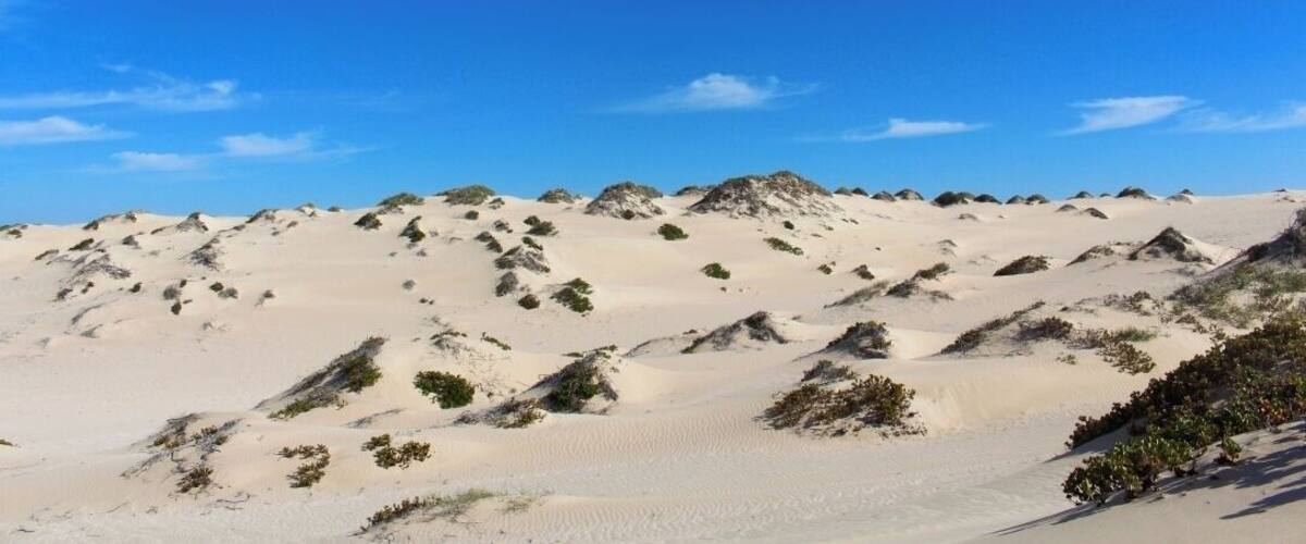 somewhere on the sand dunes. almost stepped on a venomous snake too.