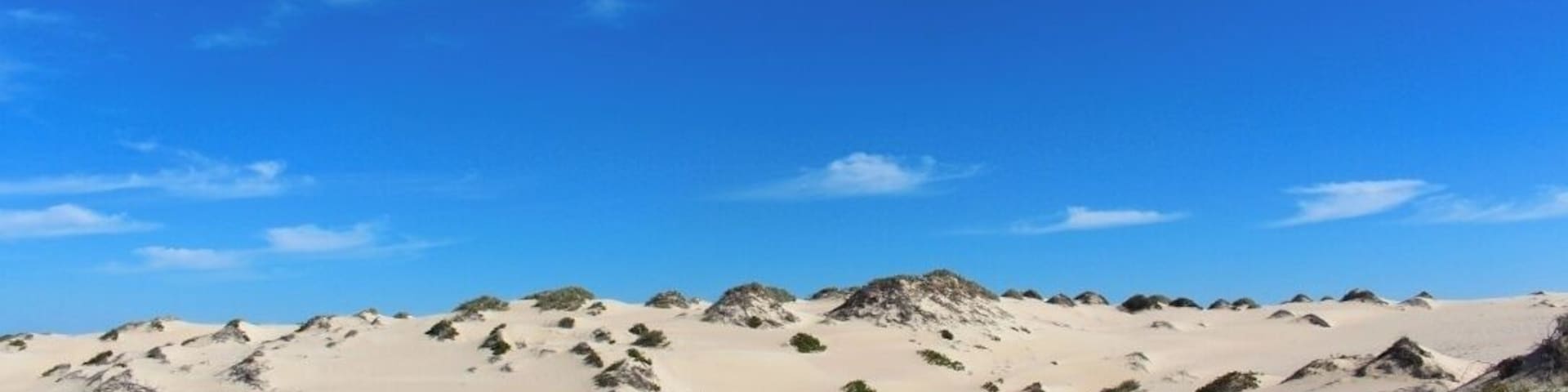 somewhere on the sand dunes. almost stepped on a venomous snake too.